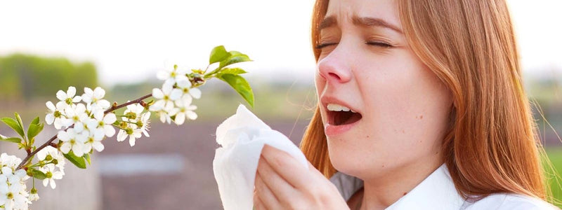 Seasonal Allergies vs. Perennial Allergies - VITAL+ Pharmacy