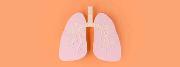 What is Chronic Obstructive Pulmonary Disease? - VITAL+ Pharmacy