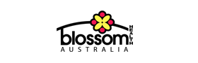 Blossom | Vital Pharmacy Supplies