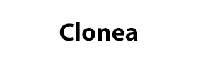 Clonea | Vital Pharmacy Supplies