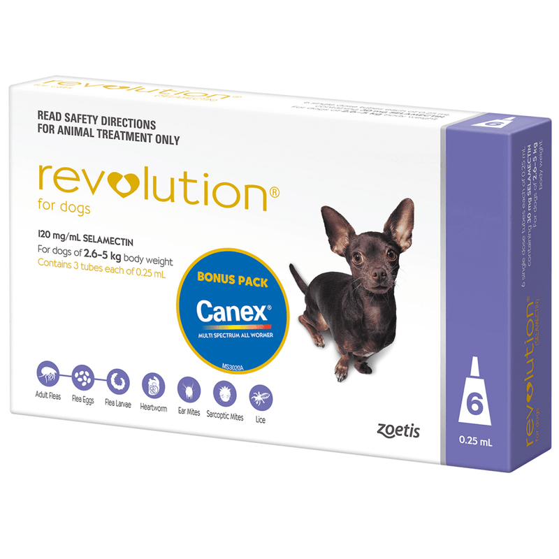 Revolution Dog 120mg Purple 2.6 - 5Kg 6 Pack - Vital Pharmacy Supplies