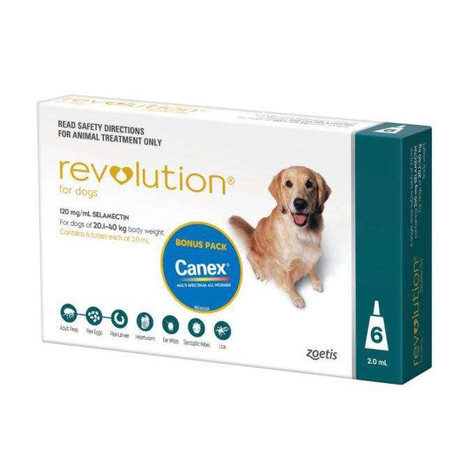 Revolution Dog 240Mg Teal 20.1 - 40Kg 6 Pack - Vital Pharmacy Supplies