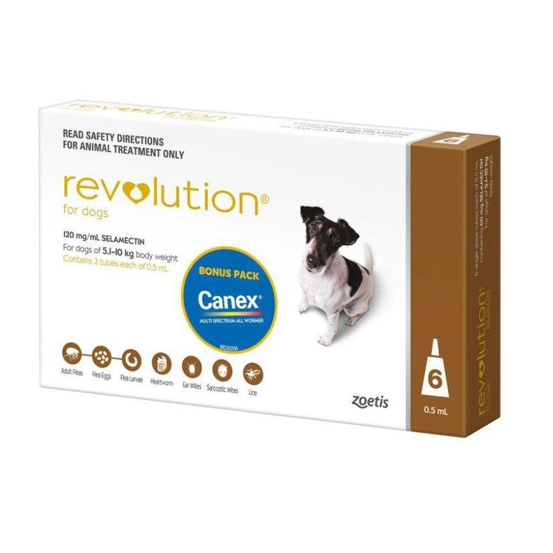 Revolution Dog 60mg Brown 5.1 - 10Kg 6 Pack - Vital Pharmacy Supplies